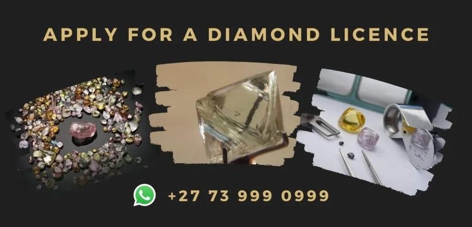 Application for Diamond Beneficiation License, Download Document [PDF - 362KB]